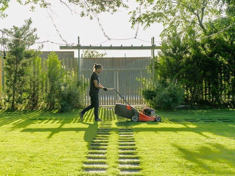 Clean yard after debris removal in Kingston, WA
